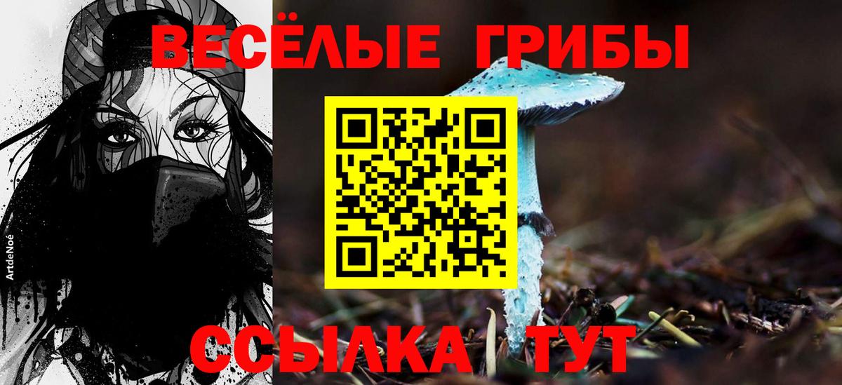 Иркутск  Галлюциногенные грибы MAGIC MUSHROOMS  закладки  Вход с VPN 