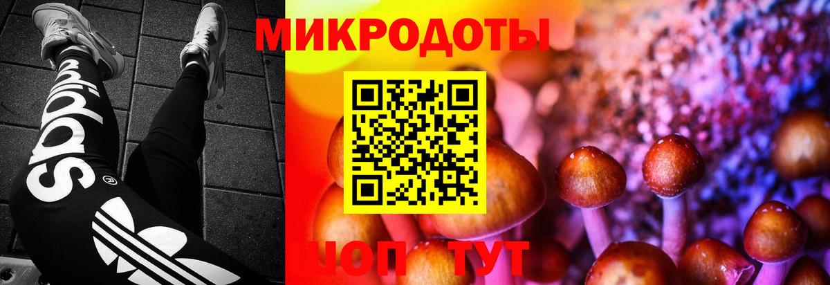 Галлюциногенные грибы Magic Shrooms Иркутск